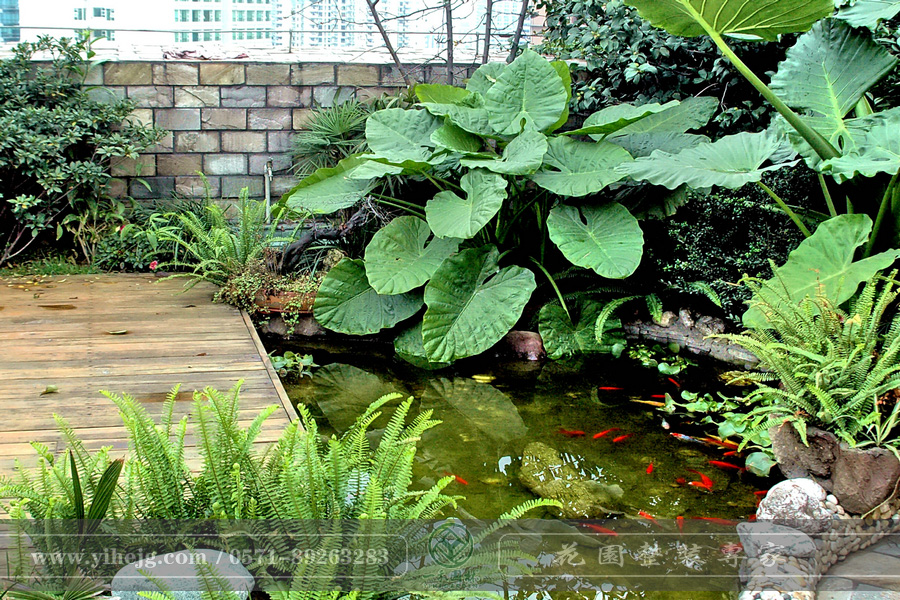 露臺花園｜露臺假山水溪景觀｜露臺木平臺景觀設計｜私家小露臺景觀綠化